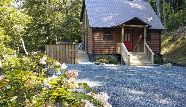 Hot Tub & Views: Charming Bryson City Cabin!
