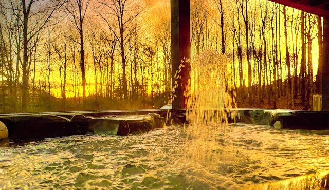HOT TUB w CA King beds Acres of & secluded. Pymt plan, dogs welcome