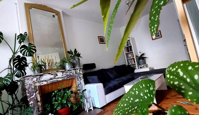 HÔTE STÉPHANOIS F2 with parking& electric vehicle charging station