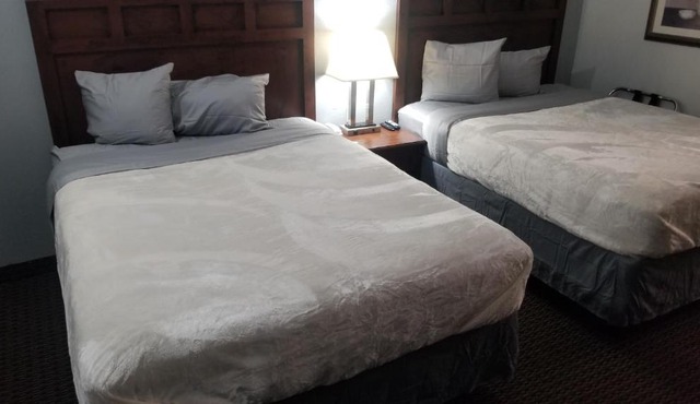 Hotel 2 Queen Beds Hotel Room 135 Booking