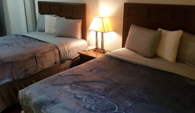 Hotel 2 Queen Beds Hotel Room 128 Booking