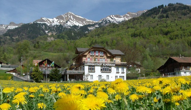 Hotel Alpenrose beim Ballenberg