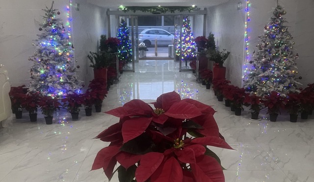 Hotel Aviación