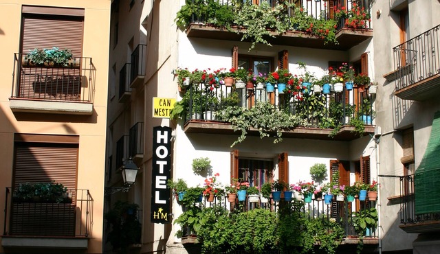 Hotel Can Mestre