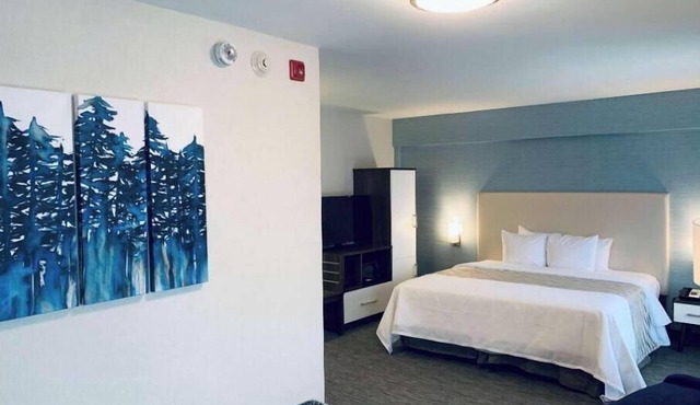 Hotel Chandni Victoria -King Room