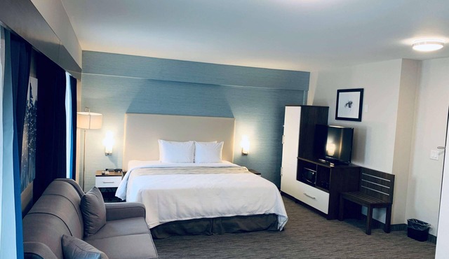 Hotel Chandni Victoria Queen sized room