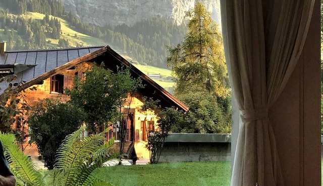 Hotel des Alpes