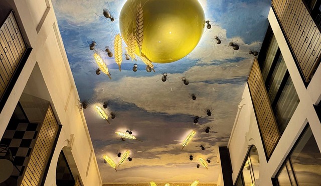 Hotel Divino by Fimedhotels