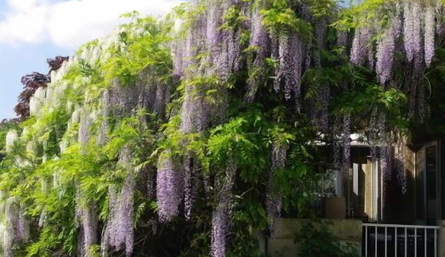 Hotel du Moulin à Vent Gerland