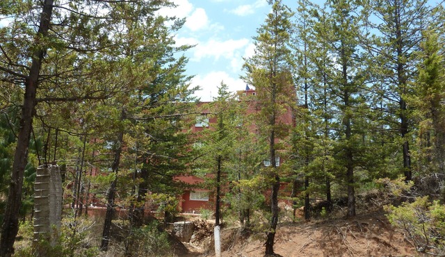 Hotel Gold