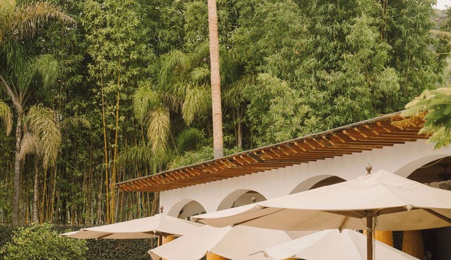 Hotel Hacienda La Venta