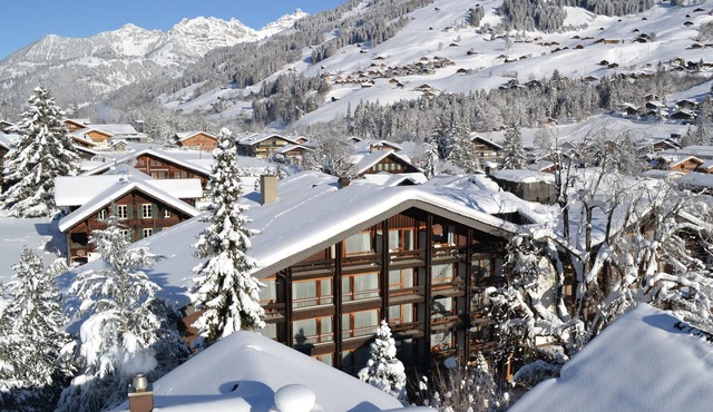 Hotel Kreuz Lenk