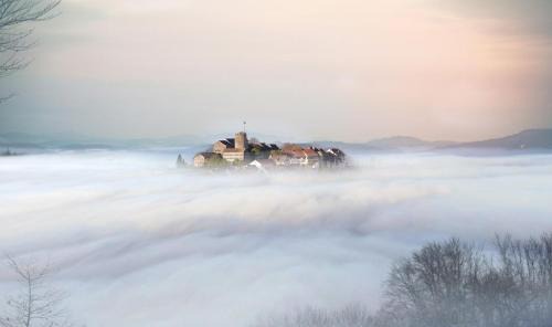 Hotel Krone Regensberg