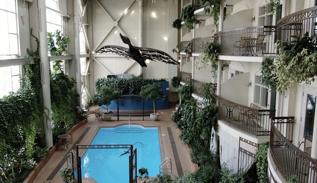 Hotel L'Oie des neiges