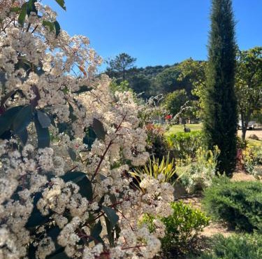 Hotel les jardins Sta Giulia avec piscine