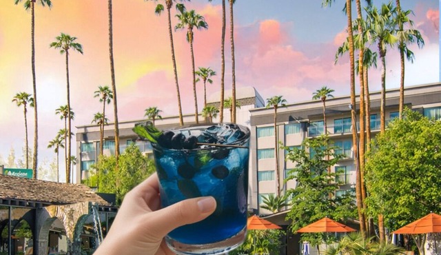 Hotel Lucerna Mexicali