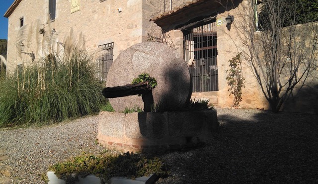 Hotel Masia Can Vive