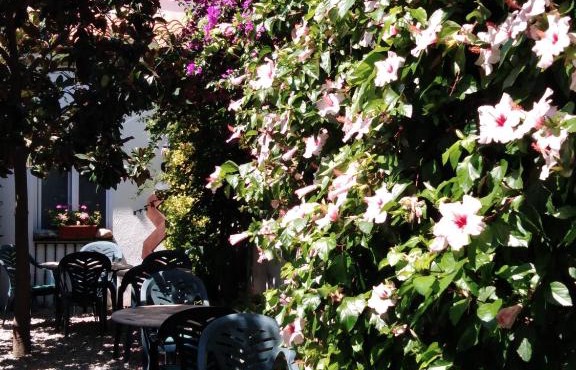 Hotel Mitus