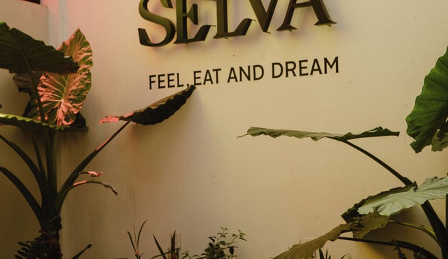 Hotel Cielo y Selva, San Cristobal de las Casas
