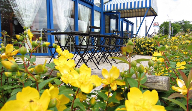 Hotel Noctuel - Blois