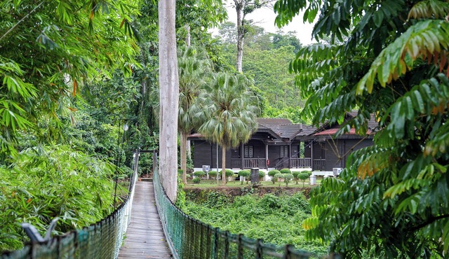 Hotel O Asiacamp Resort National Park Kuala Tahan