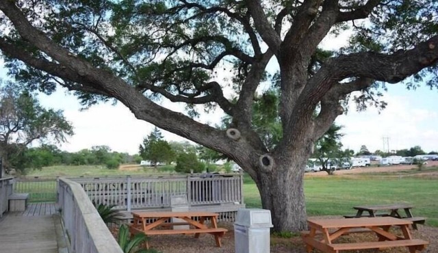 Hotel O Executive Inn & Suites Cuero Hwy 87