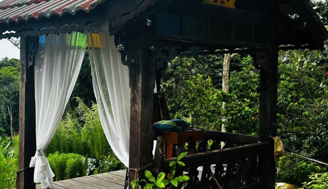 Hotel O Jerai Nature Glamping
