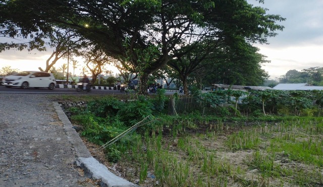 Hotel O Penginapan Mekar Sari Near PT. Lombok Menara Energygas