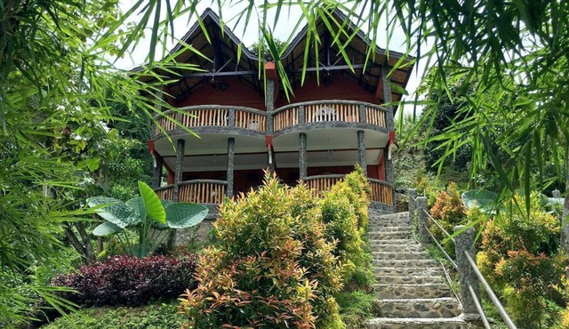 Hotel Orangutan