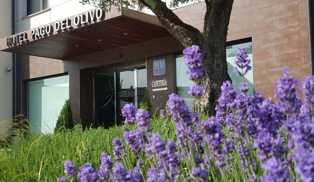 Hotel Pago del Olivo