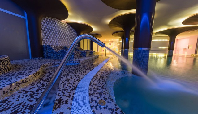 Hotel Palacio Albacete & SPA
