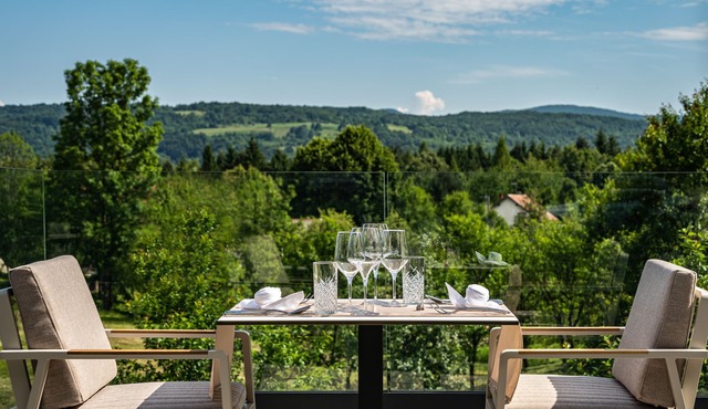 Hotel Palcich