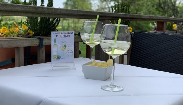 Hotel Restaurant Ritter'hoft