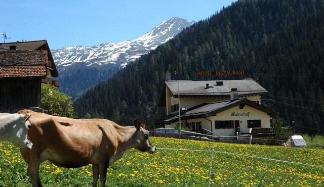 Hotel Restaurant Walserhof