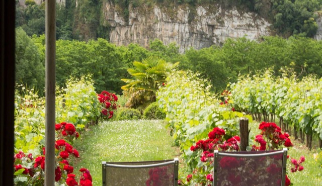 Hotel-Spa Le Saint Cirq