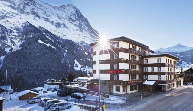 Hotel Spinne