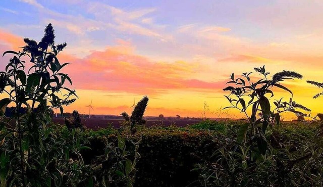 Hotel Stokkegaardens BnB & Apartments