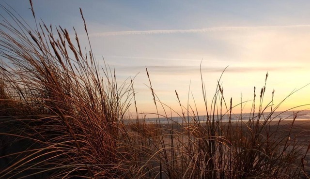 Hotel Strandlyst Badehotel