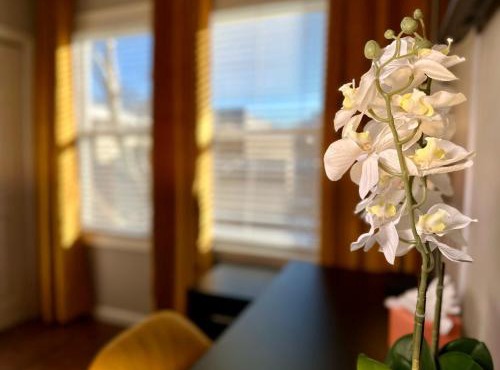 Hotel-Style, No Host, Professionally Managed ID267