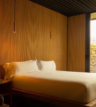 Hotel Torre Mayorazgo