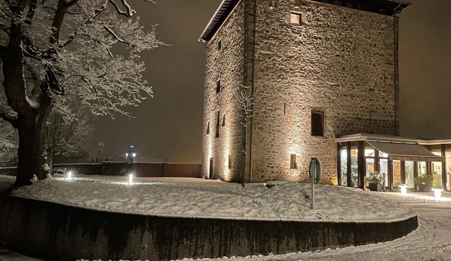 Hotel Torre Zumeltzegi