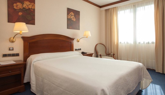 Hotel Villa De Almazán