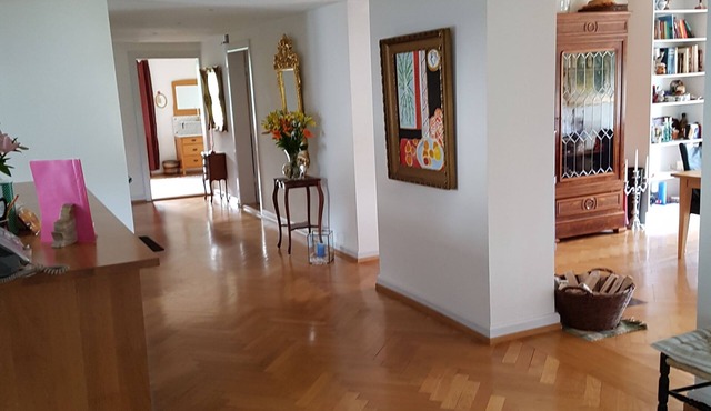 Hottingen: 3 lg. BR, 3 Bath, wash/dr., elegant, bright, spacious Apt. for 6 - 7