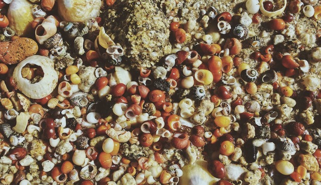 House/Villa - BRIGNOGAN PLAGESHouse with characterHouse with garden