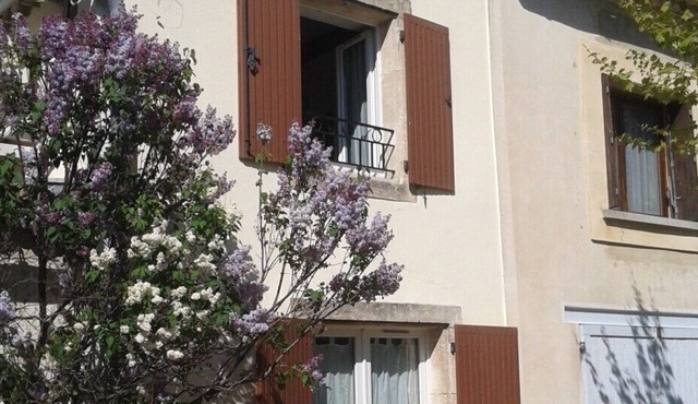 House under the plane trees