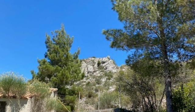 House 12 persons near the sea