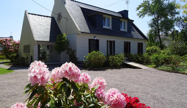 House 10/12 people with studio by the sea in TREGASTEL
