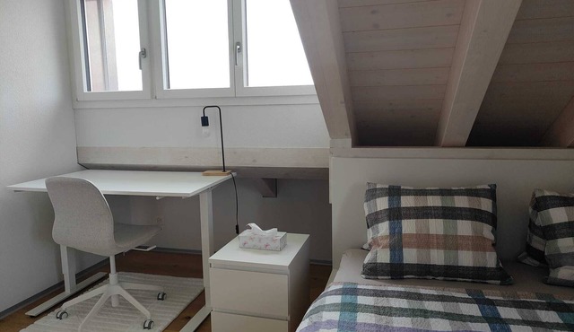 House 15 minutes to Interlaken I Sauna I Free Parking I Free Internet I Netflix