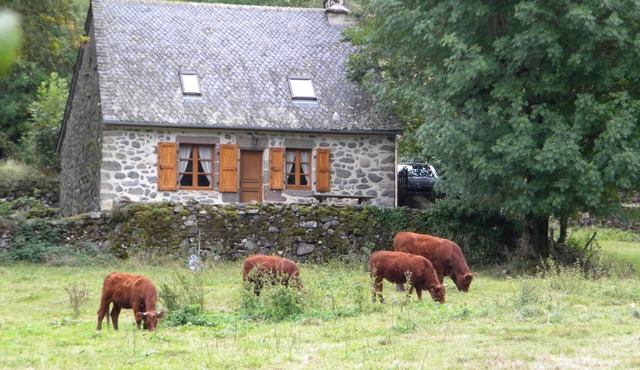 House 15380 St. Vincent de Salers