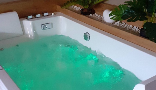 House 2 pers balneotherapy / spa / private jacuzzi near Chablis
